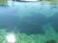 DSCF0135.webp
