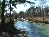 DSCF0141.webp
