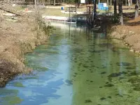 DSCF0146.webp