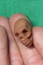 skll.webp