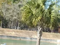 DSCF0173.webp