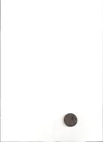 coin side2.webp