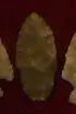 adena2.webp