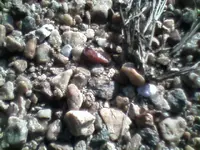0115091451[1].webp