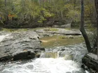 DSCN0295.webp