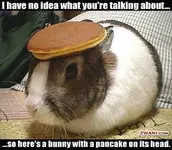 3funny-pictures210.webp