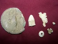 Todays finds.webp