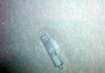 Bronze Cannon C19.webp