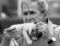 President-Bush-Eats-Kitten-1259.webp