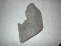 DSC00050.webp