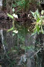 DSC_0220.webp