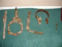 Beach Finds 055.webp