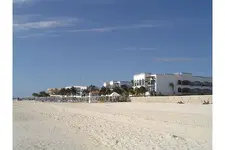 Beach.webp