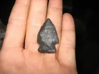 Birdie Black Rhyolite.webp