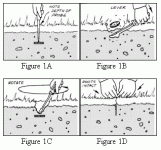 diagram1.gif