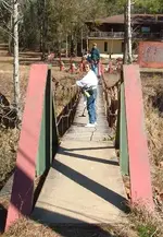 swinging bridge.webp
