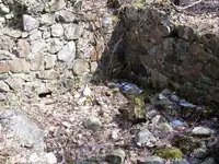 cellar - cleanout.webp