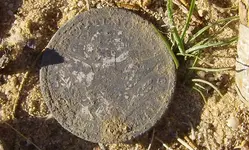 1895 Liberty Quarter 2.webp