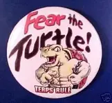 FEARTHETURTLE.webp