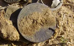 1895 Liberty Quarter 5.webp