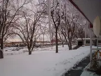 winter 001.webp