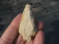 rhyolite S.C.webp