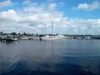 View from the Bridge.webp