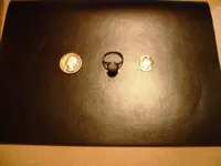 ring d q.webp