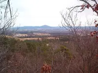 Out our back door 006.webp