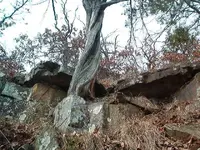 Out our back door 007.webp