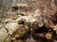 Out our back door 002.webp