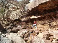 Out our back door 003.webp