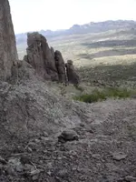 turtle downhill.webp
