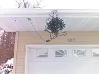 christmas lights 1.webp
