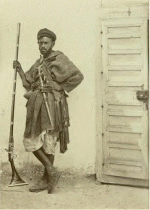Image2.gif