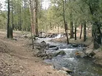 01010005.webp