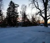 lookin out my back door tonight.webp