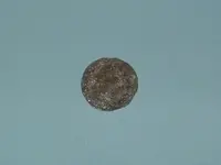 coin0008.webp