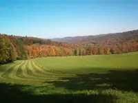ny trip 037.webp