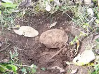 marks plate in the hole.webp