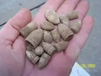 my bullets in my hand 11-28.webp