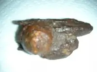 todays finds 038.webp