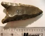 Paleo 1.webp
