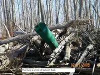 2-13-09 015.webp