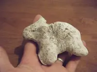 DSCF6005.webp