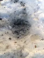 hole.webp