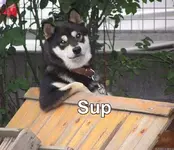w\'sup.webp