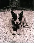 OLD clay city pics 10.webp