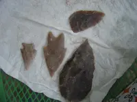 DSC04542.webp