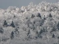 ice christmas moon1.webp